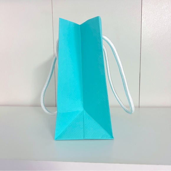 Tiffany & Co. Small Shopping Bag (single bag) - Picture 3 of 5